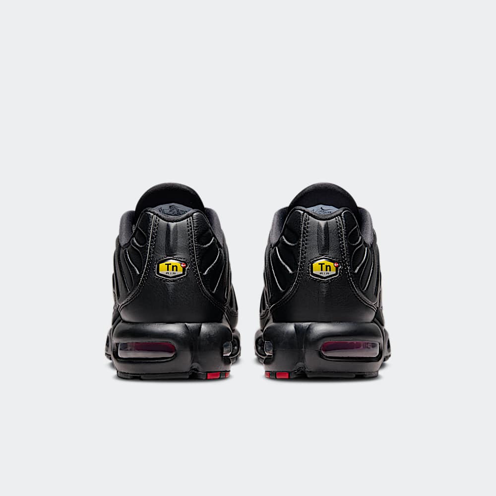 Nike Air Max Plus Premium Bred | FZ3038-001 | Grailify