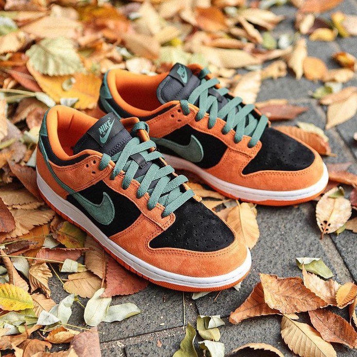 Nike dunk shop low ceramic