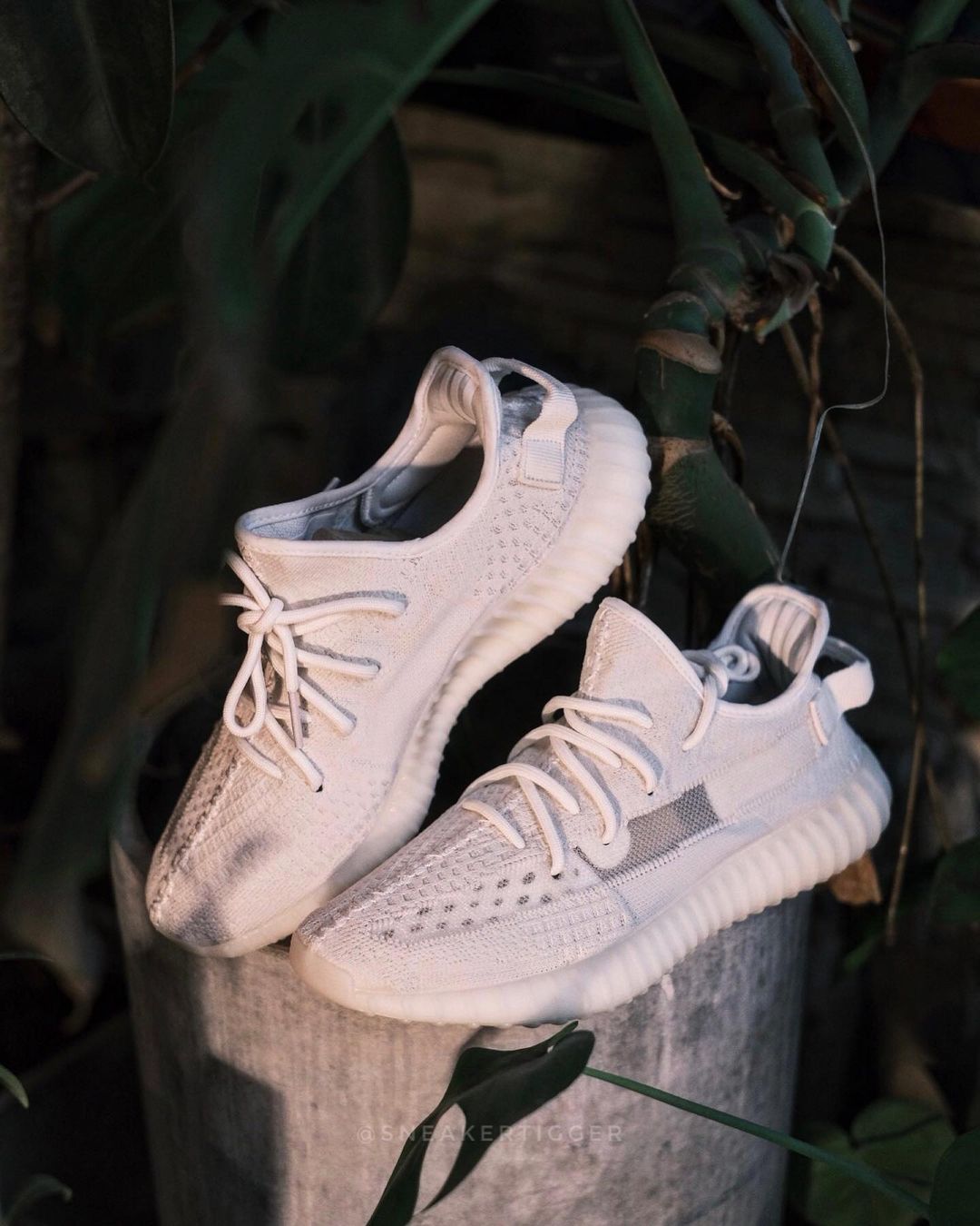 Adidas yeezy pure white hotsell