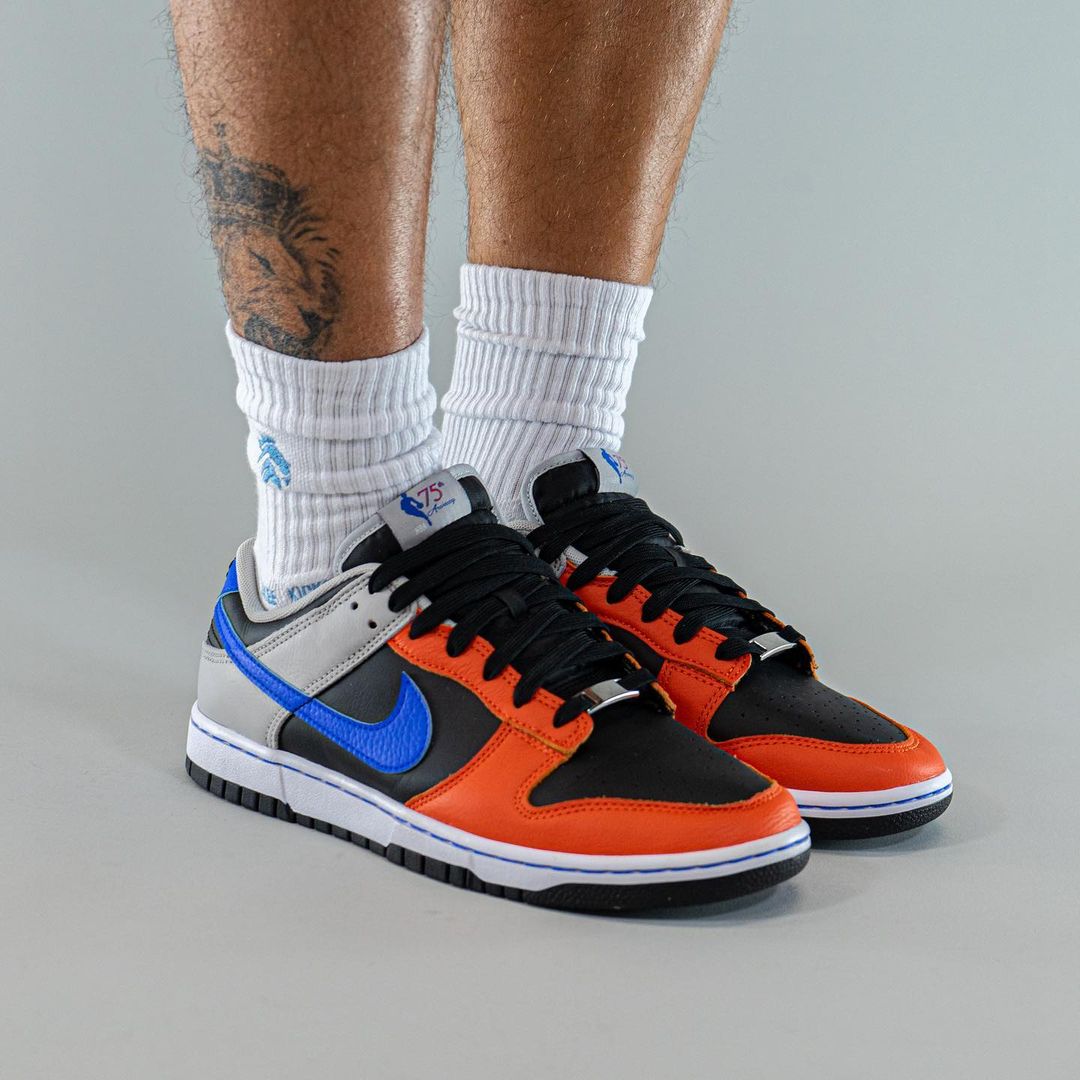 nike dunk low retro emb