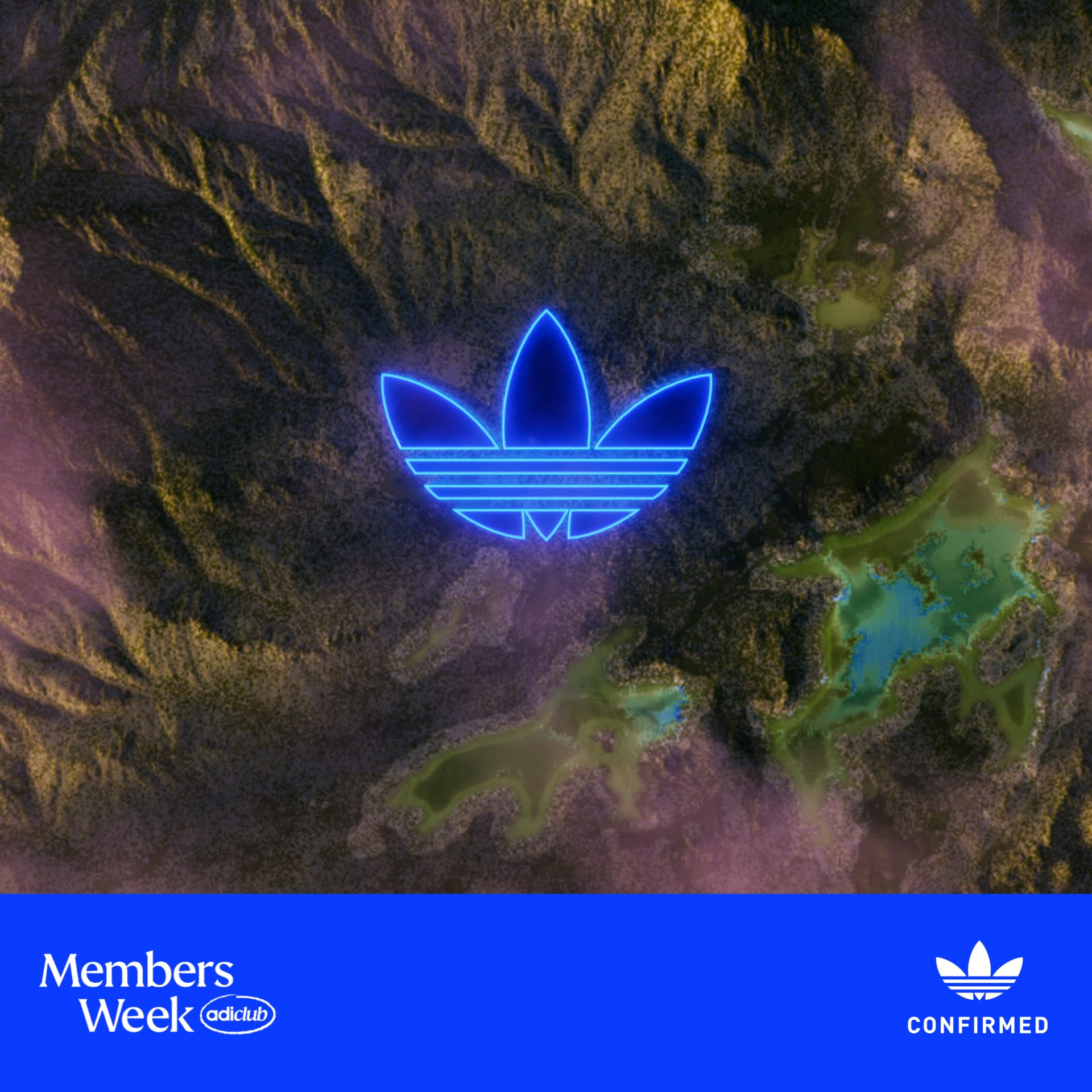 Adidas wallpaper outlet tropical