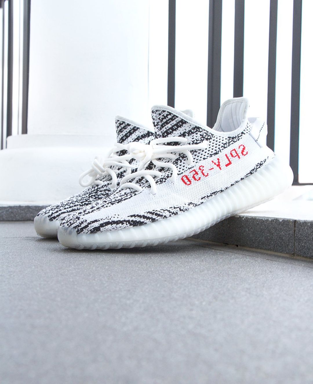 Adidas zebra hot sale yeezy restock