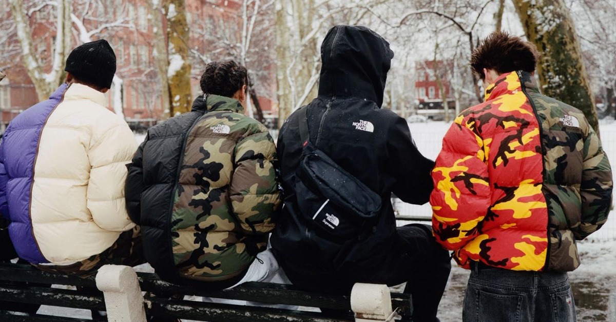 Supreme x The North Face  