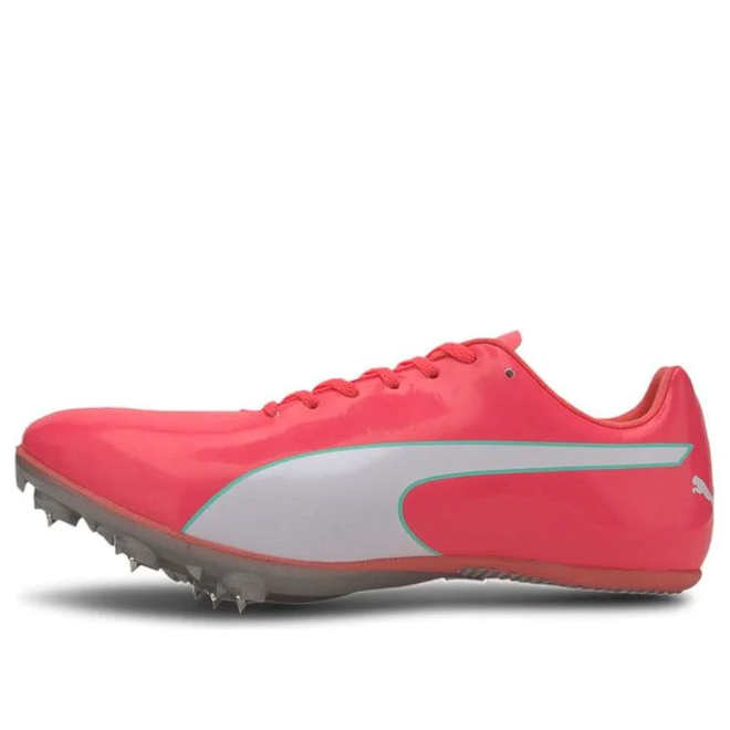 Puma evospeed cheap sprint v6