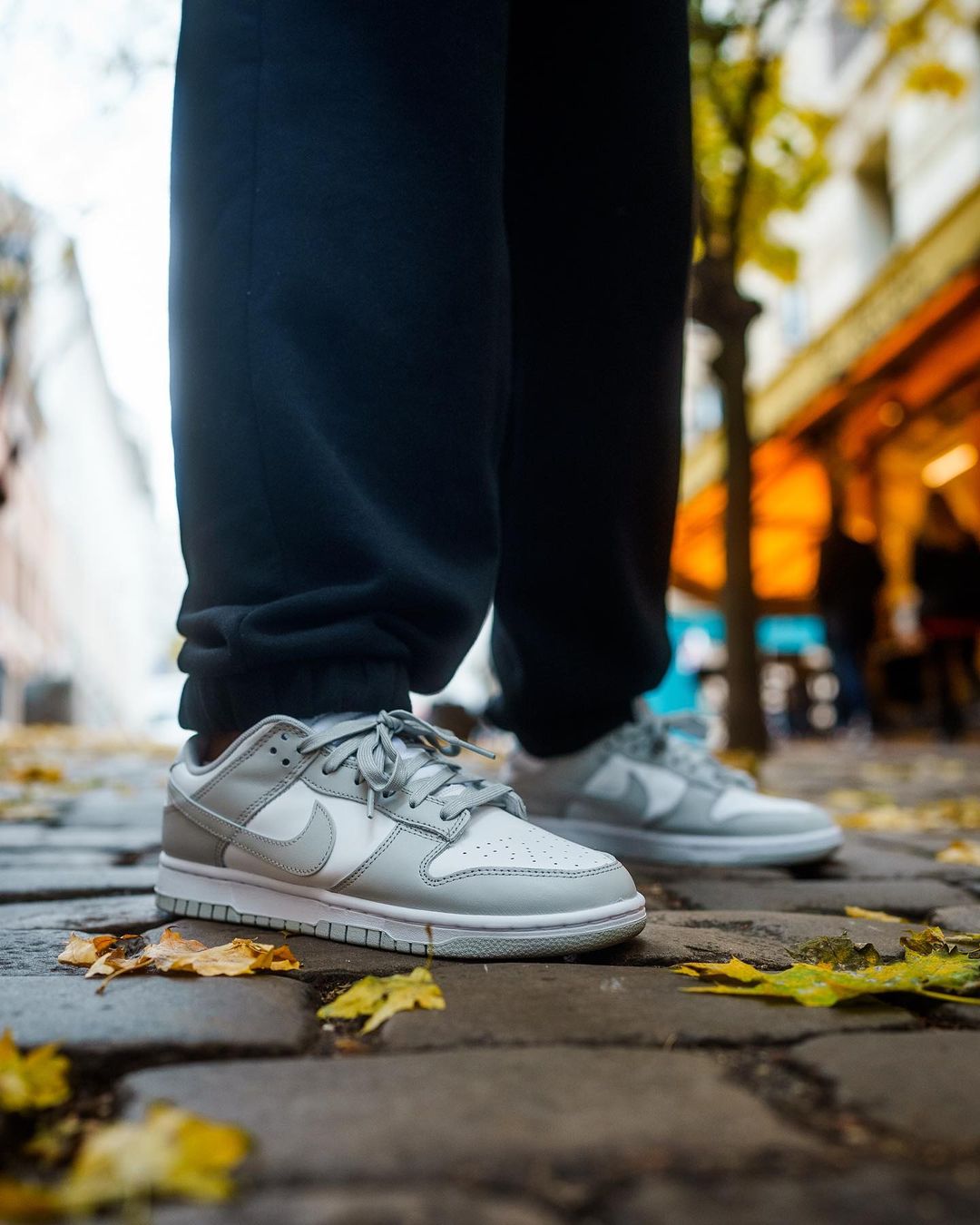 nike dunk grey fog