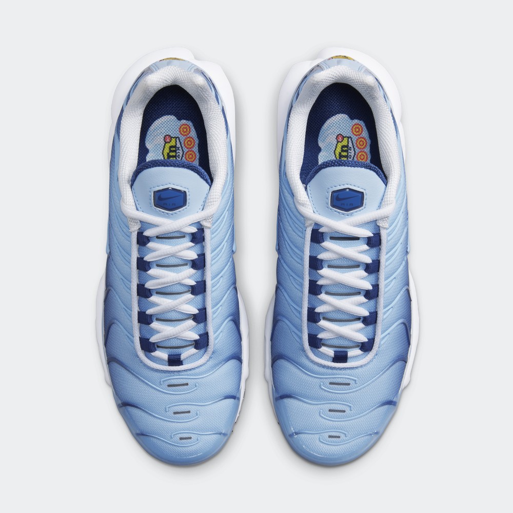 Nike Air Max Plus Celestine Blue FJ4736 400 Grailify