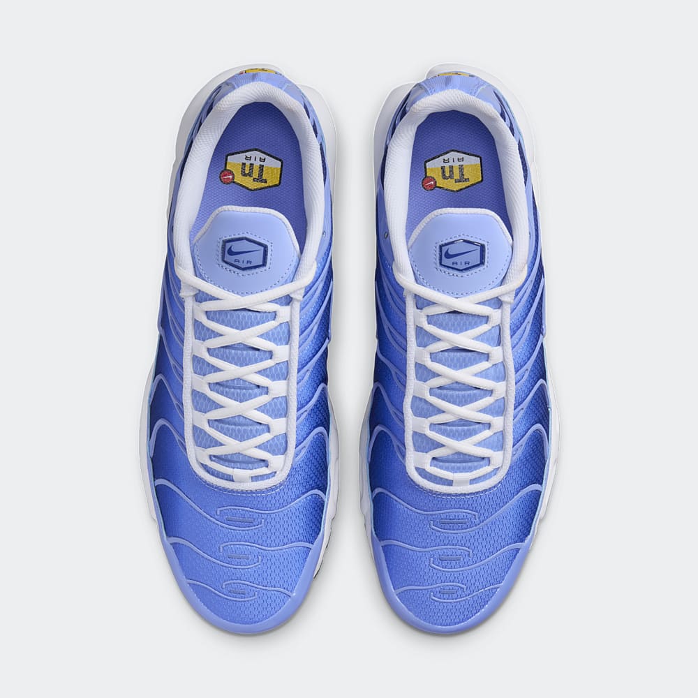 Air max plus royal blue on sale