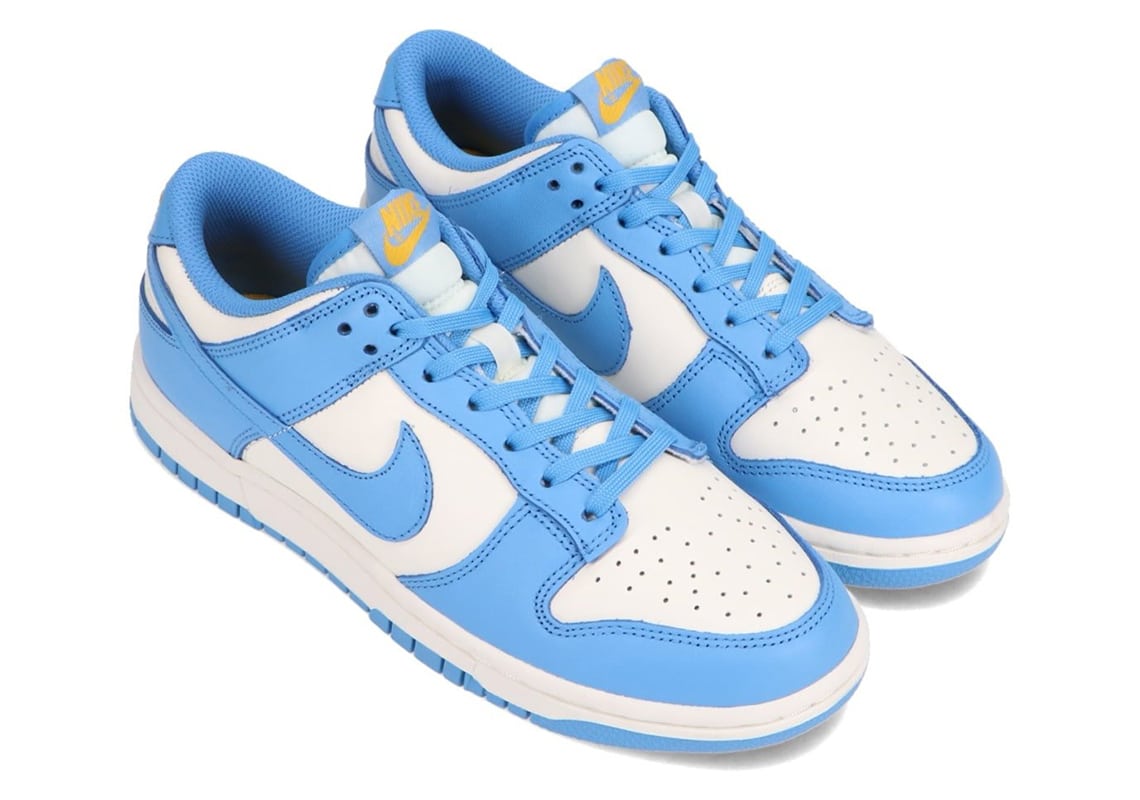 The Nike Dunk Low 