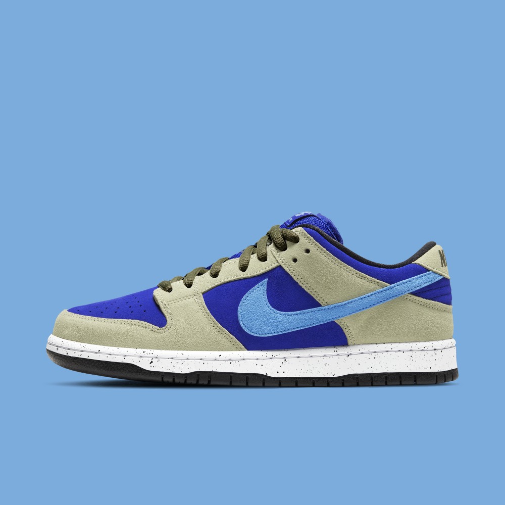 Official Images of the Nike SB Dunk Low 