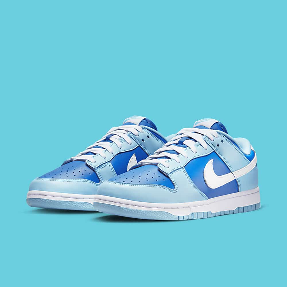 Official Images of the Nike Dunk Low 