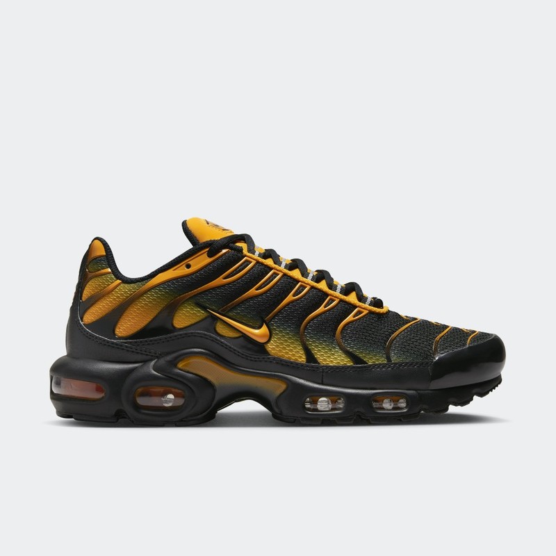 Nike Air Max Plus "Sundial" | DM0032-007