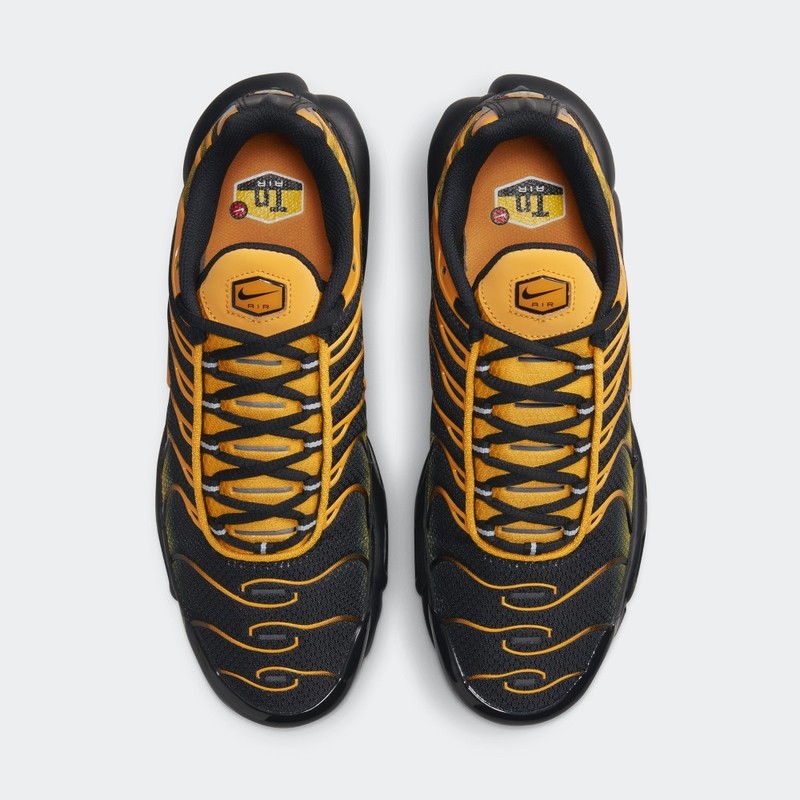 Nike Air Max Plus "Sundial" | DM0032-007