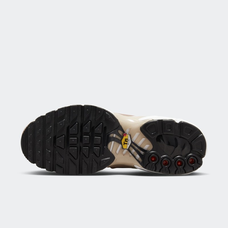Nike Air Max Plus "United in Victory" | FB2557-200