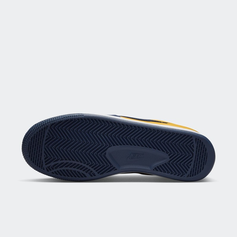 Nike Terminator Low "Michigan" | FJ4206-700