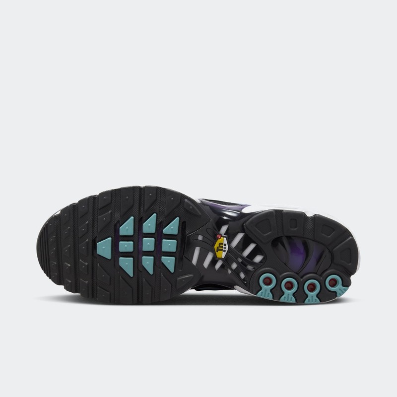 Nike Air Max Plus "Reverse Grape" | FQ2415-500