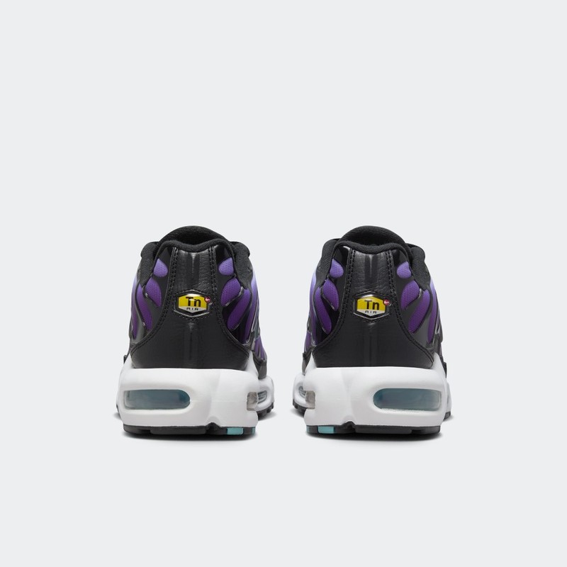 Nike Air Max Plus "Reverse Grape" | FQ2415-500
