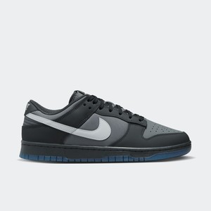 Nike Dunk Low "Anthracite" | FV0384-001 Nike Dunk Low "Anthracite" | FV0384-001
