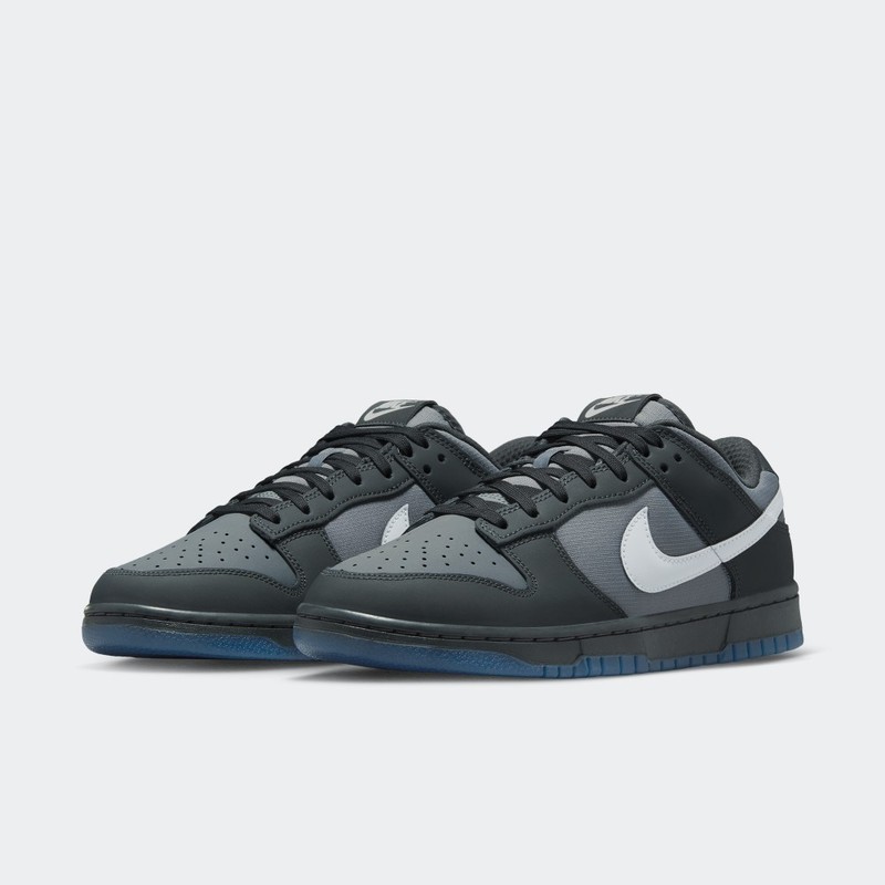 Nike Dunk Low "Anthracite" | FV0384-001