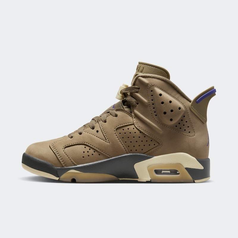 Air Jordan 6 Gore-Tex "Brown Kelp" | FD1643-300