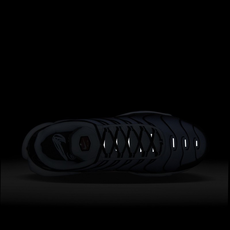 Nike Air Max Plus "Blue Tint" | DM0032-008