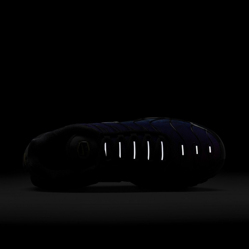 Nike Air Max Plus "25th Anniversary" | FV0393-001