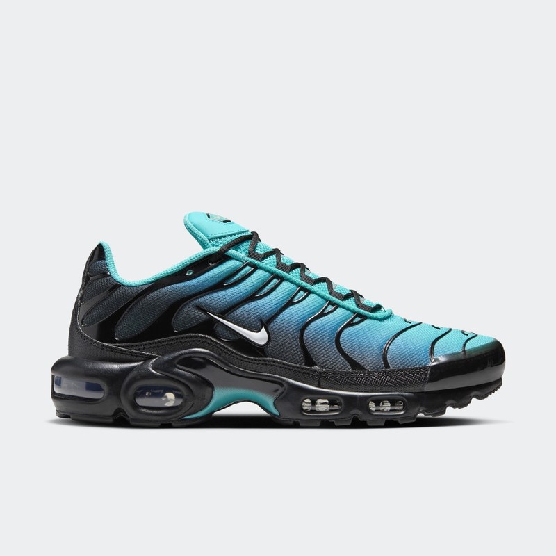 Nike Air Max Plus "Light Retro" | DM0032-401