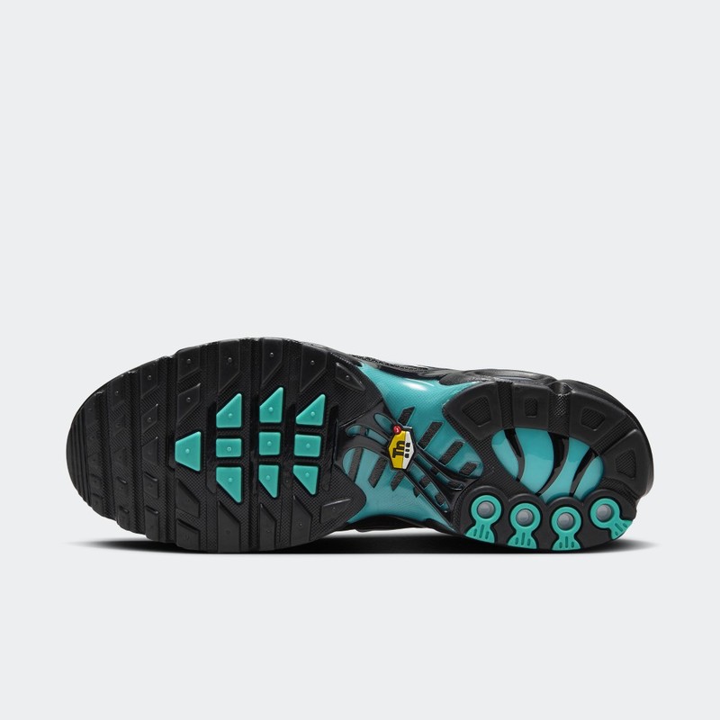 Nike Air Max Plus "Light Retro" | DM0032-401