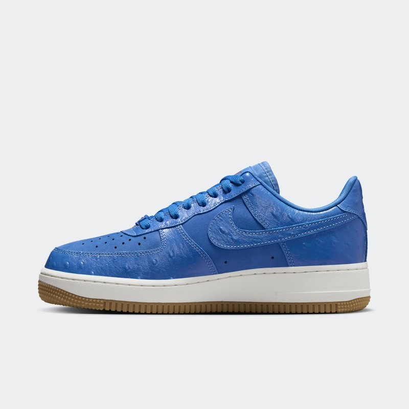 Nike Air Force 1 Low "Blue Ostrich" | DZ2708-400
