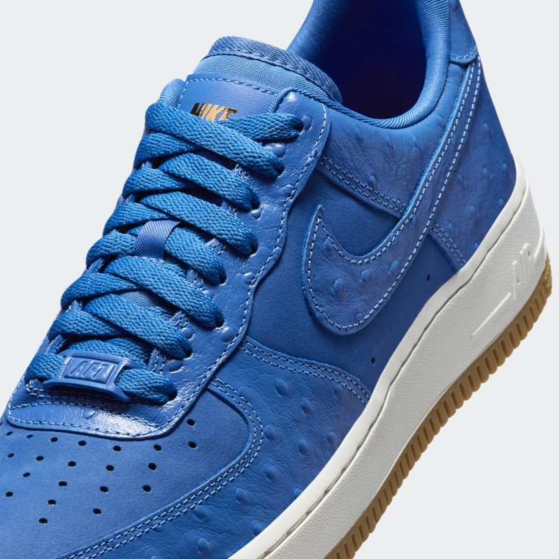 Nike Air Force 1 Low "Blue Ostrich" | DZ2708-400