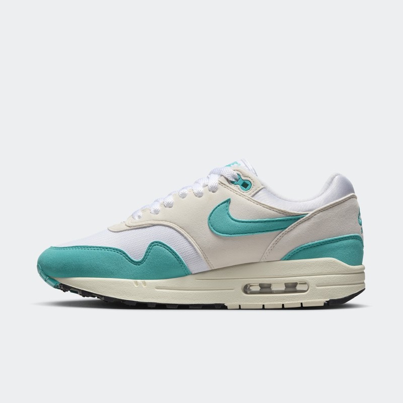 Nike Air Max 1 "Dusty Cactus" | DZ2628-107