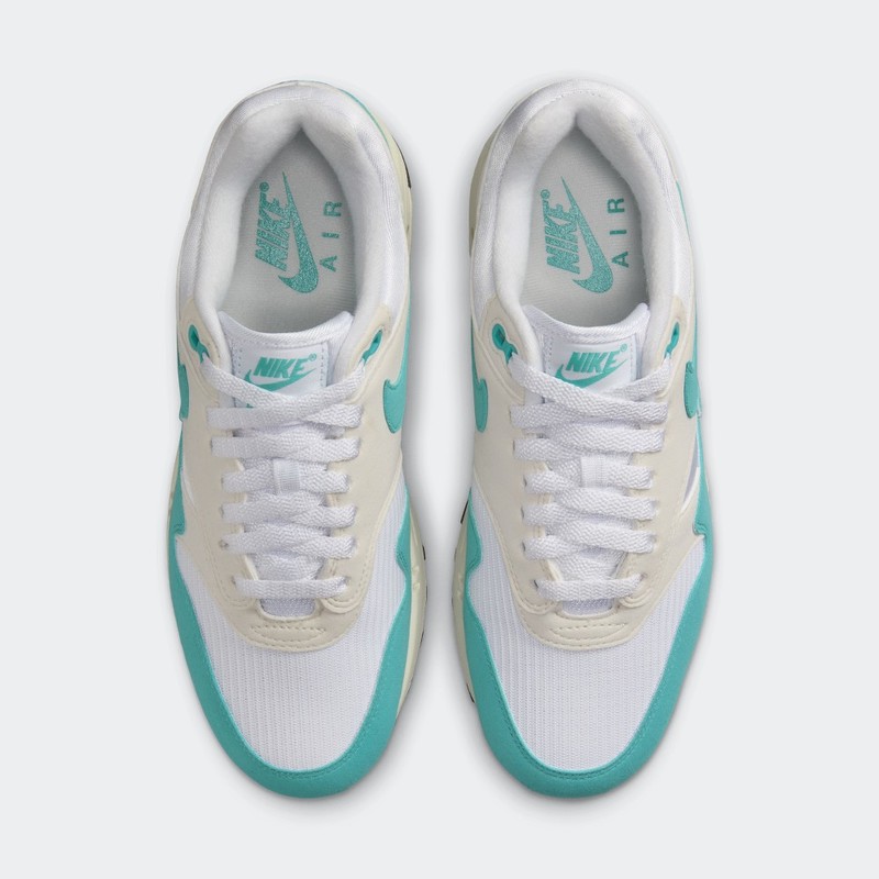 Nike Air Max 1 "Dusty Cactus" | DZ2628-107