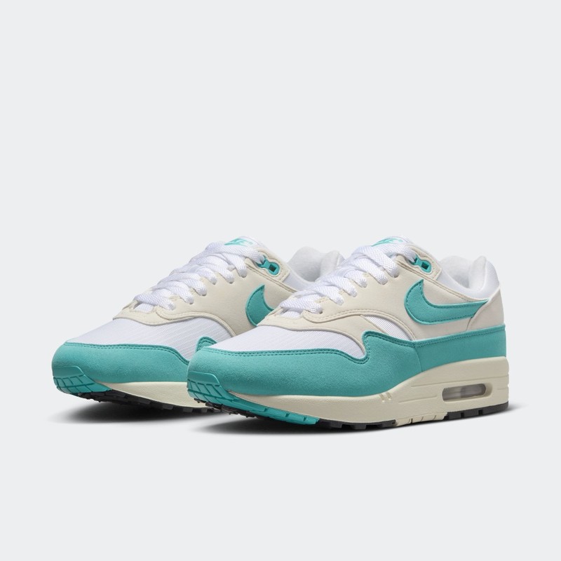 Nike Air Max 1 "Dusty Cactus" | DZ2628-107