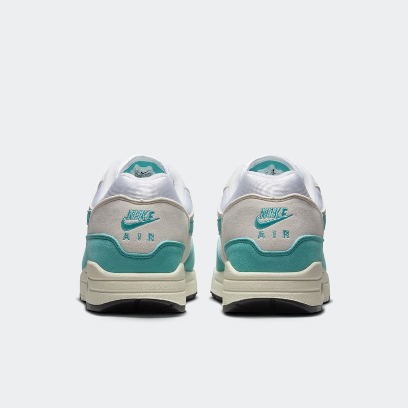 Nike Air Max 1 "Dusty Cactus" | DZ2628-107