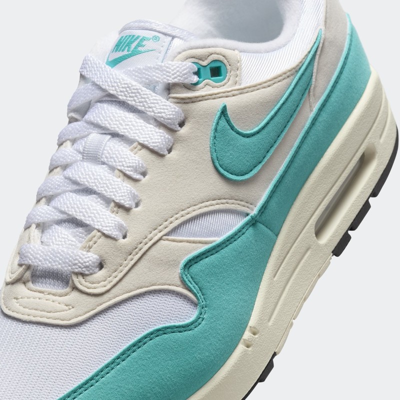 Nike Air Max 1 "Dusty Cactus" | DZ2628-107