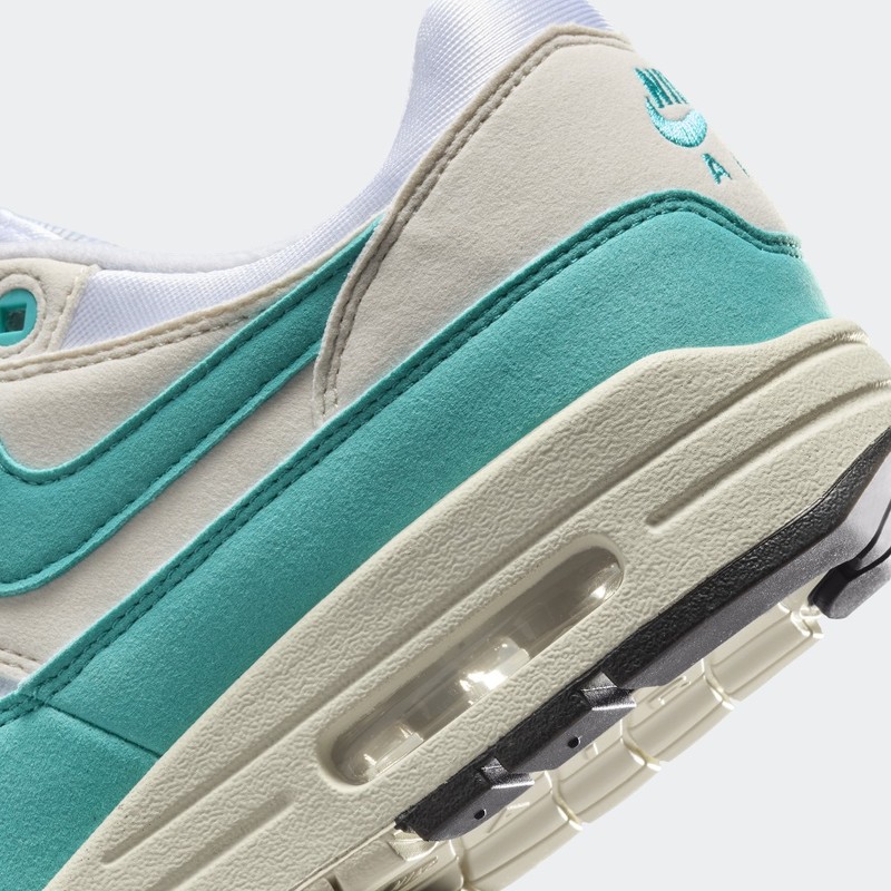 Nike Air Max 1 "Dusty Cactus" | DZ2628-107