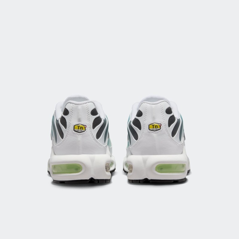 Nike Air Max Plus "Dusty Cactus" | DZ3670-102