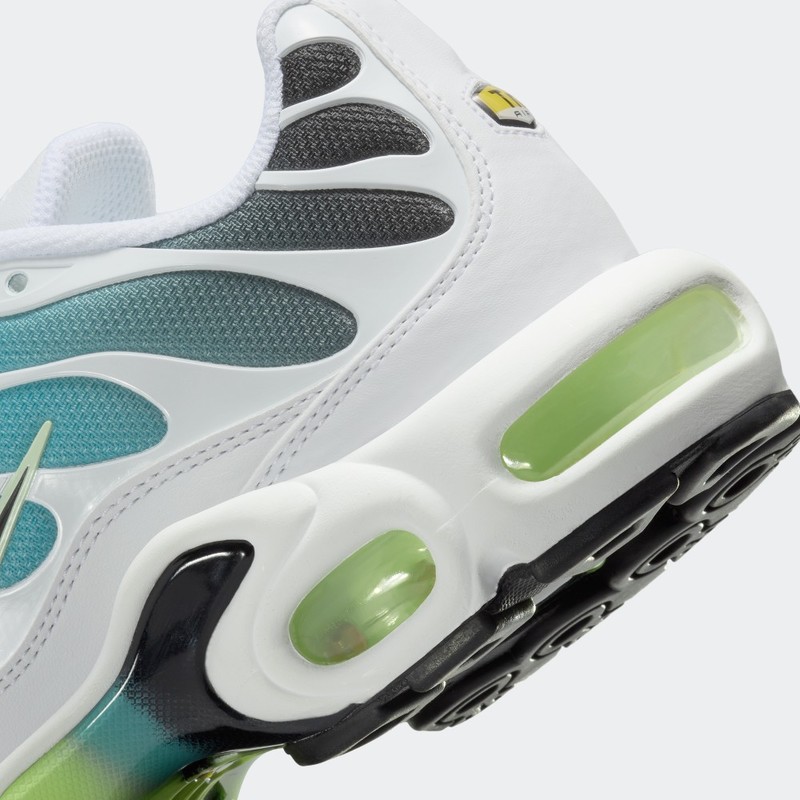Nike Air Max Plus "Dusty Cactus" | DZ3670-102