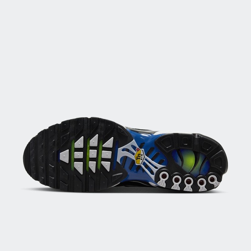 Nike Air Max Plus "Chameleon" | FZ4628-001