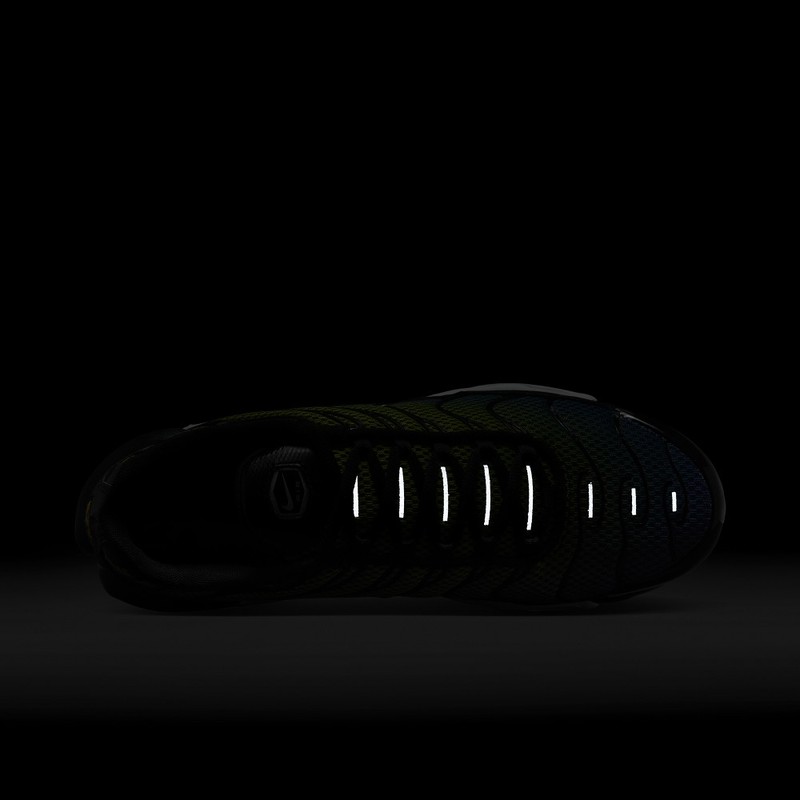 Nike Air Max Plus "Chameleon" | FZ4628-001