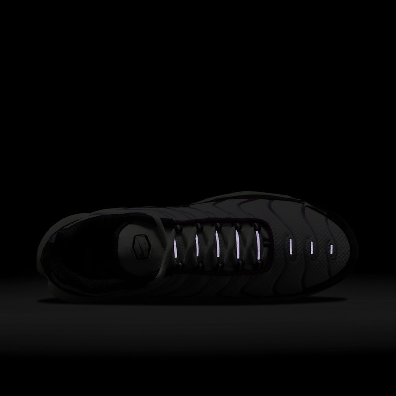 Nike Air Max Plus "Lilac Bloom" | FN6949-100