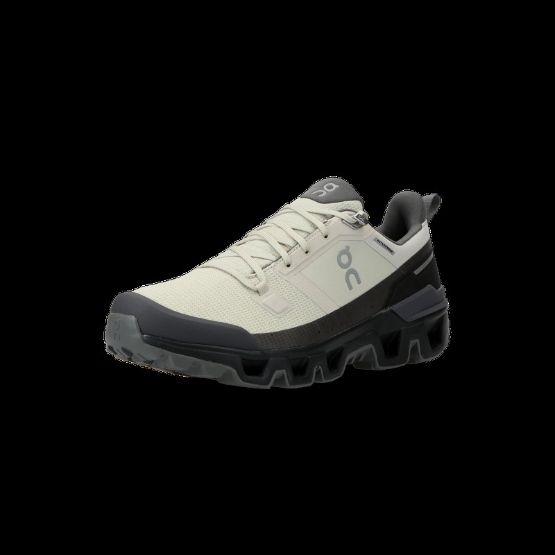 On Cloudwander Waterproof M "Sand" | 73.97668 On Cloudwander Waterproof M "Sand" | 73.97668