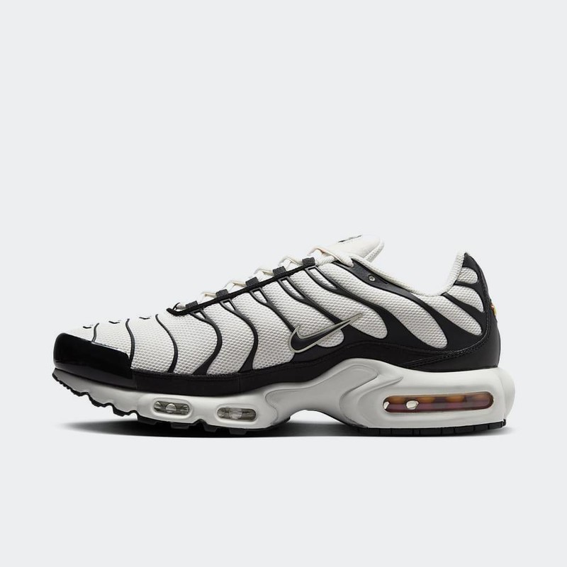 Nike Air Max Plus "Panda" | FV6264-001