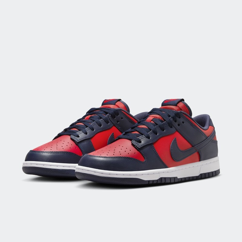 Nike Dunk Low CO.JP "City Attack" | DV0833-601