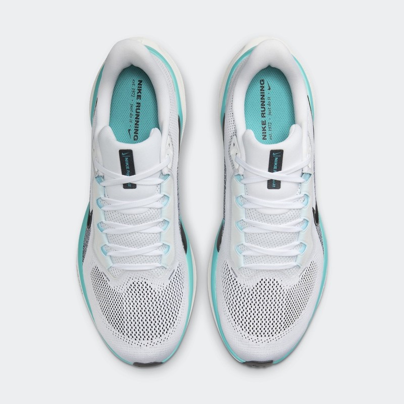 Nike Pegasus 41 "Dusty Cactus" | FD2722-103
