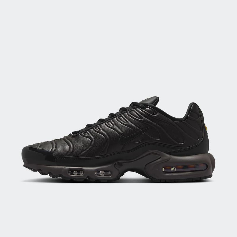 Nike Air Max Plus "Black Tea" | HJ4519-200 Nike Air Max Plus "Black Tea" | HJ4519-200