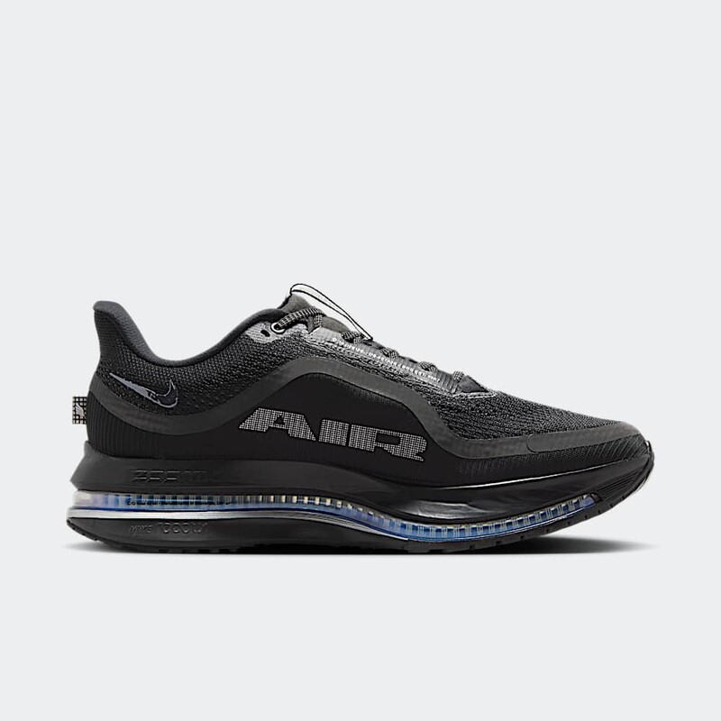 Nike Pegasus Premium "Black/Metallic Silver" | HQ2592-005