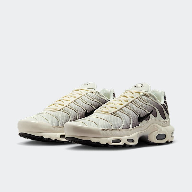 Nike Air Max Plus "Light Orewood Brown" | DM0032-106