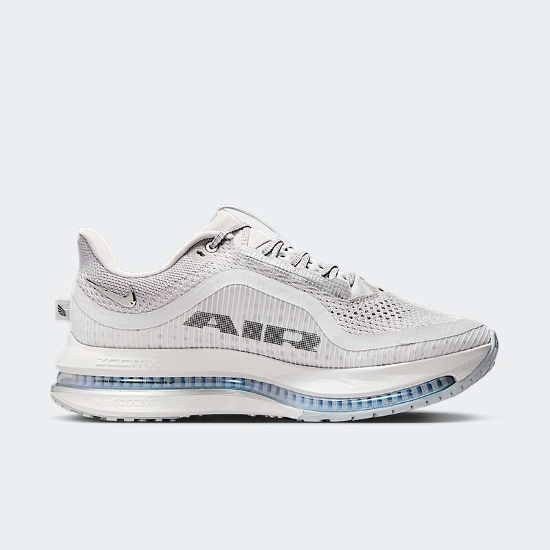 Nike Pegasus Premium "Metallic Silver Swoosh" | HQ2593-005