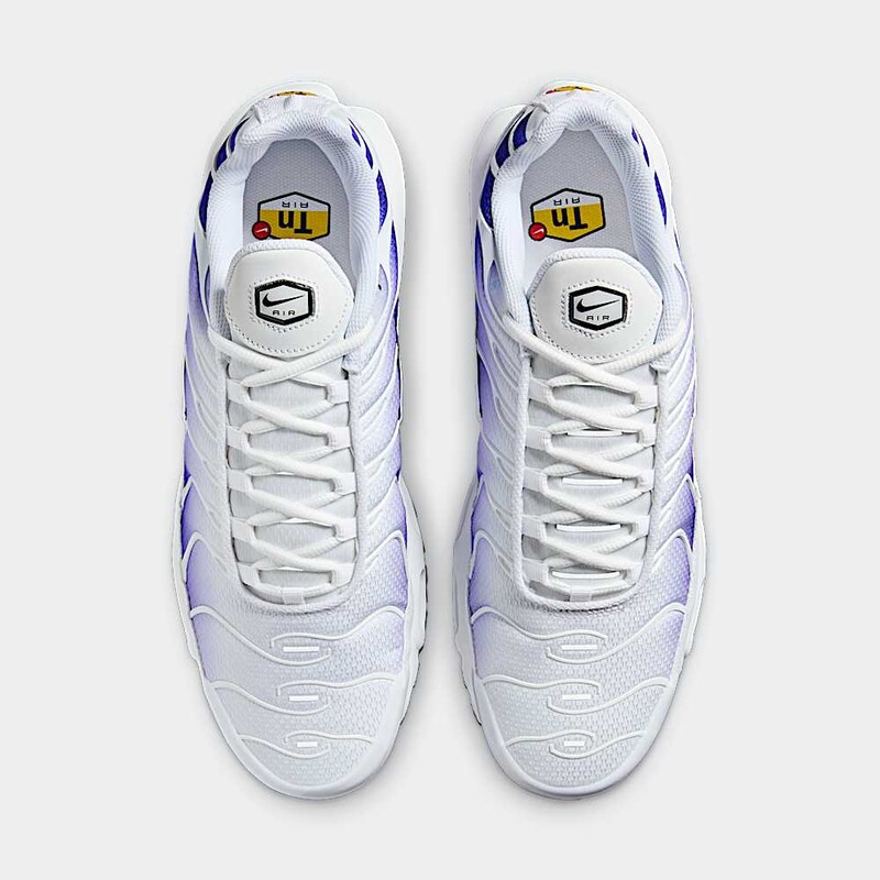 Nike Air Max Plus "Deep Night" | DM0032-105