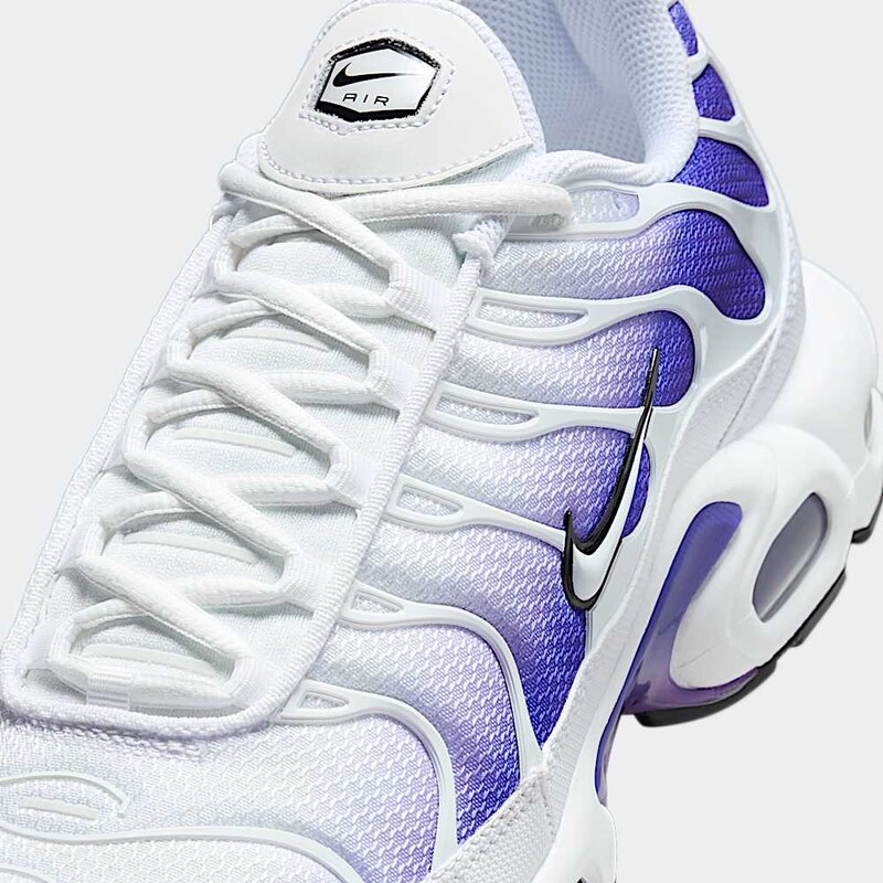 Nike Air Max Plus "Deep Night" | DM0032-105